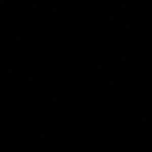 Meet your Posher, Aylin